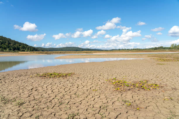 Almost dry Cerknica intermittent lake on sunny day Cracked dry dirt in front and remains of lake in background reflecting blue sky and some clouds. cerknica lake stock pictures, royalty-free photos & images