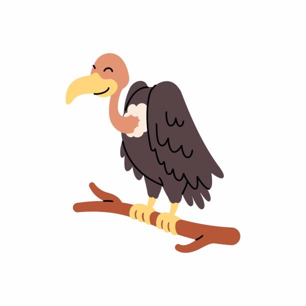 stockillustraties, clipart, cartoons en iconen met cute vulture bird cartoon on the tree branch. cartoon vector character isolated on a white background - gier