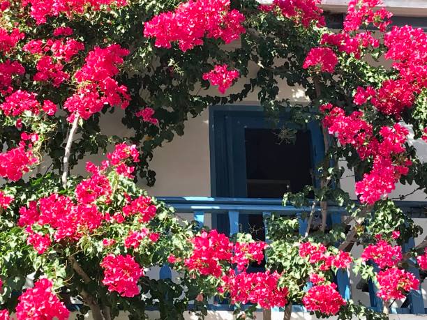 istock Greece - Crete - Mochlos village 1425968611