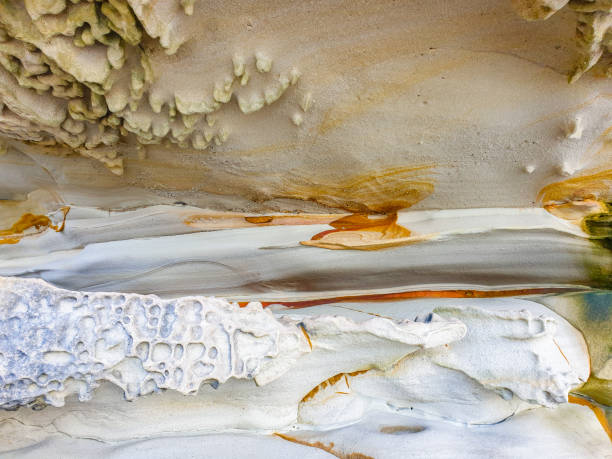 istock Rock formation at bondi beach walk 1425971307