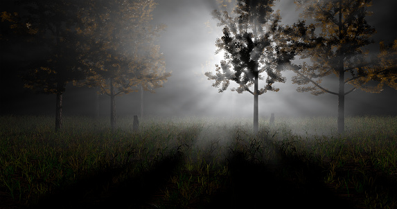 3d rendering. Illustration of autumn forest in sunlight and mist.