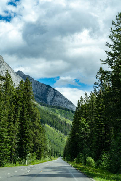 Bow Valley Parkway in Banff National Park in summer