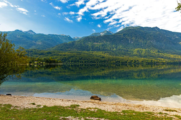 보힌지 호수와 슬로베니아의 줄리안 알프스의 전망 - julian alps lake bohinj lake bohinj 뉴스 사진 이미지