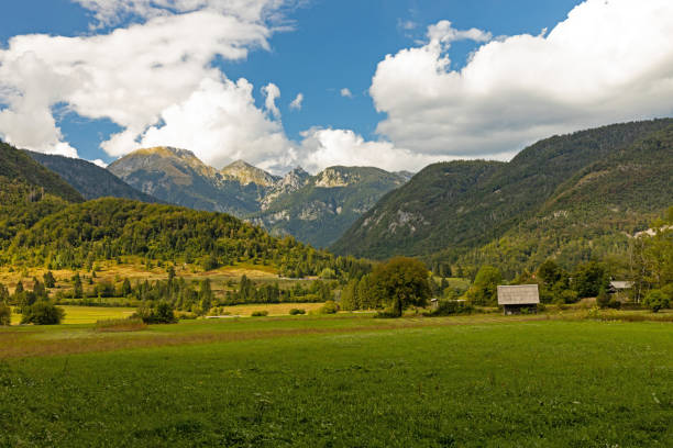 슬로베니아의 ribčev laz 마을과 호수 bohinj 근처의 줄리안 알프스 - julian alps lake bohinj lake bohinj 뉴스 사진 이미지