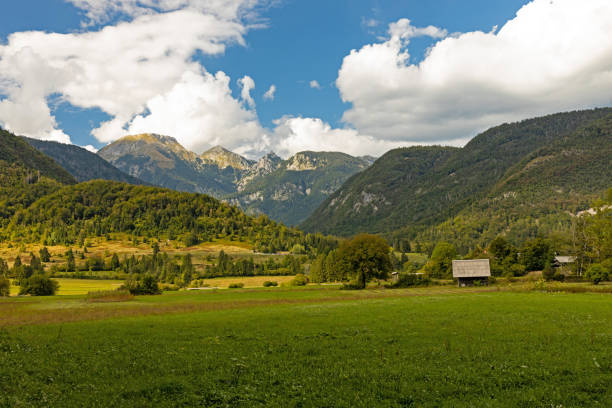 alpy julijskie w pobliżu miejscowości ribčev laz i jeziora bohinj w słowenii - julian alps lake bohinj lake bohinj zdjęcia i obrazy z banku zdjęć