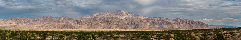 A panoramic image of the Pinto Mountains and the alluvial fan in Joshua Tree National Park in California.