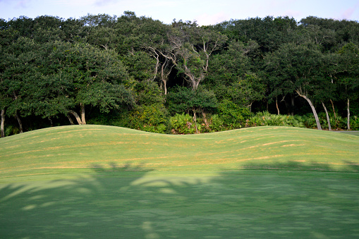 Well-maintained private golf course fairway with dense forest in the background