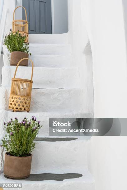 White Steps And Potted Plants Stock Photo - Download Image Now - Greece, Greek Culture, Tradition