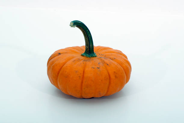 Gourds isolated on white background