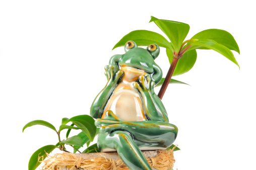 A smiling green frog figurine sitting on a flower pot under a green plant on a white background