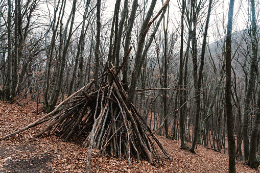 Hut of branches in the forest