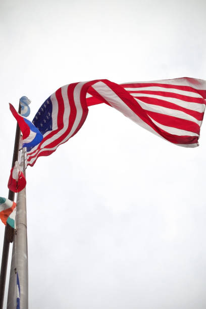 drapeau américain sur poteau d’en bas avec fond blanc - voting usa pole flag photos et images de collection