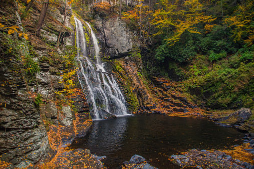 Bushkill Falls is a series of eight waterfalls located in Northeast Pennsylvania's Pocono Mountains. The main waterfall is the tallest, cascades over 100 feet (30 m). The 