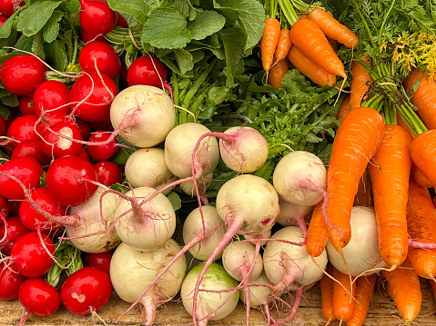 Horizontal closeup photo of bunches of freshly harvested vegetables: radishes, turnips and carrots, for sale on a vegetable stall at the weekly Farmer’s Market, Byron Bay, north coast NSW, in Spring.