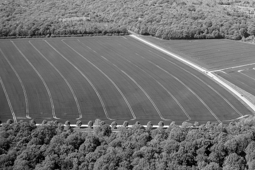 Aerial view. Black and white