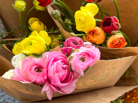 Horizontal high angle closeup photo of bunches of bright coloured Ranuncula flowers and buds wrapped in brown paper on a market stall in Spring. Byron Bay, subtropical north coast of NSW.