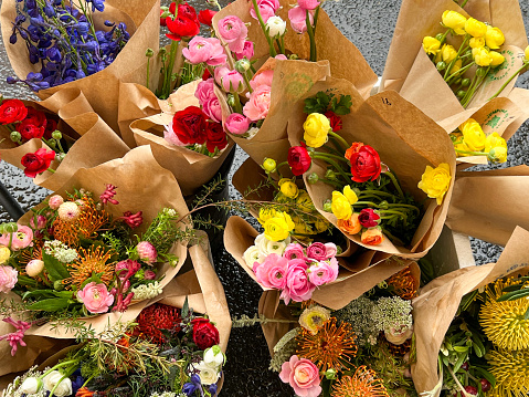 Variety of tulips on flower market in Paris, France