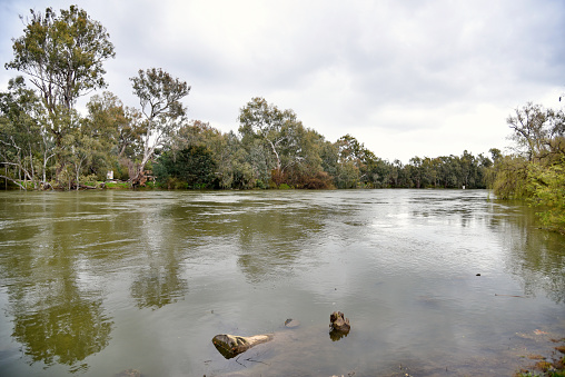 Murray river flooded 2022 due to higher than average rainfall at Albury - Wodonga, New South Wales, Australia.