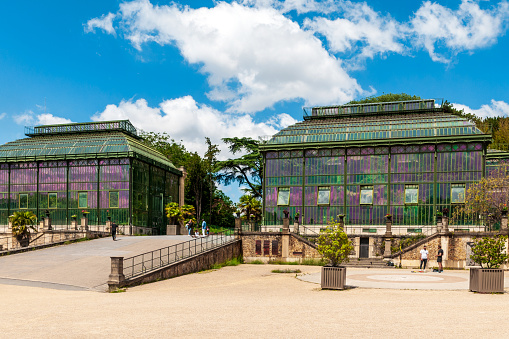 Green house in Jardin des Plantes - Paris