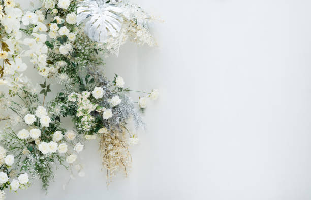 istock beautiful flower background, colorful nature 1426046492
