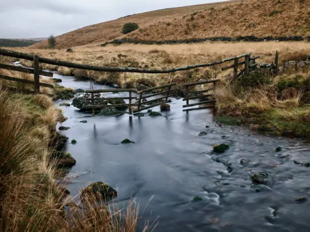 West Dart River, near Wistman's Wood, Dartmoor on a cold winter's day. Hurdles are placed across the river to deter the wild animals from venturing downstream.