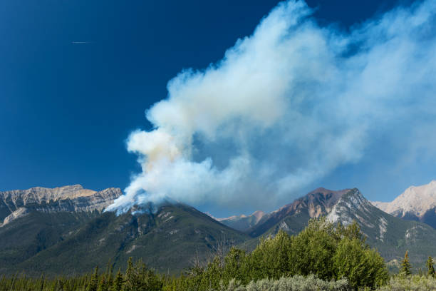 istock Forest wildfire and smoke on the side of a mountain 1426072728