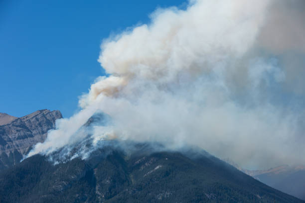 istock Forest wildfire and smoke on the side of a mountain 1426072732