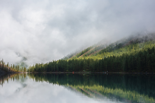 Tranquil misty meditative scenery of glacial lake with forest hill under thick low clouds. Coniferous trees on hillside reflected in calm alpine lake. Mountain lake and dense fog at early morning.