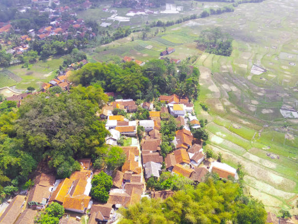 istock Vast rice fields surrounding a residential area 1426075612