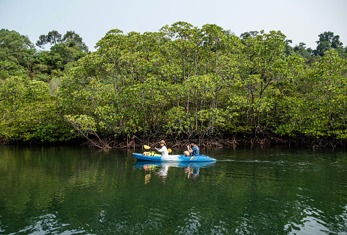 Tourists kayak through the mangrove forest in Khlong Chao on Koh Kood, Trat Province, Thailand