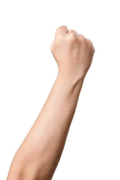istock Human hand with fist gesture 1426083107