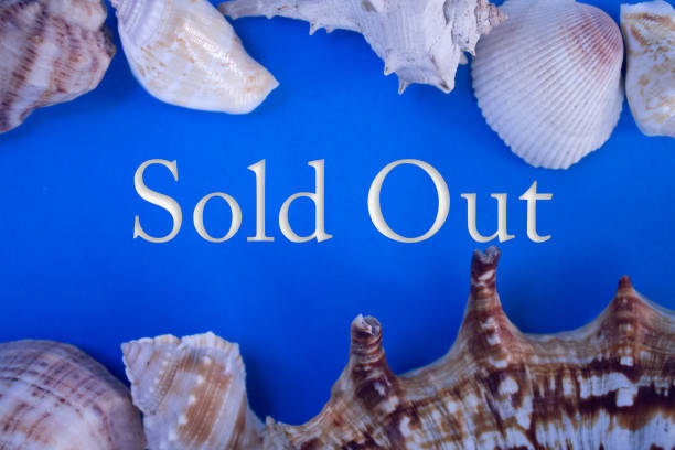 istock Animal Shell, Summer vacation, marine background with Sold Out text. 1426089386