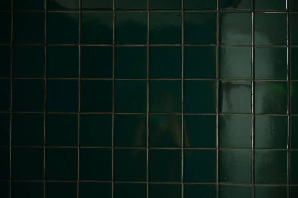 istock dark green wall bathroom, interior design 1426096259