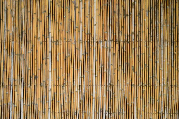 istock wooden bamboo wall background for interior design 1426096307