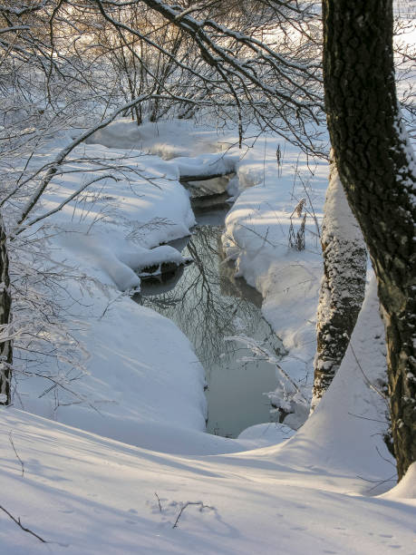 istock Non-freezing stream in the winter forest. 1426101181