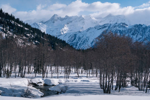 istock Elevated  view of cross-country ski trails 1426120001
