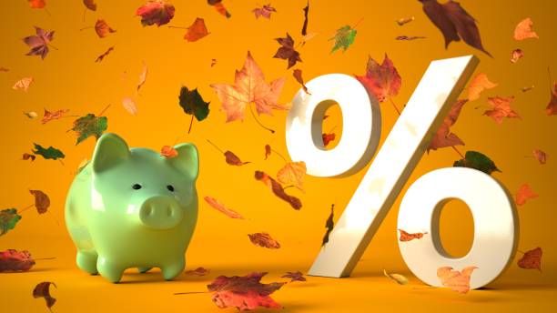 Piggy bank with white percent in autumn leaves stock photo