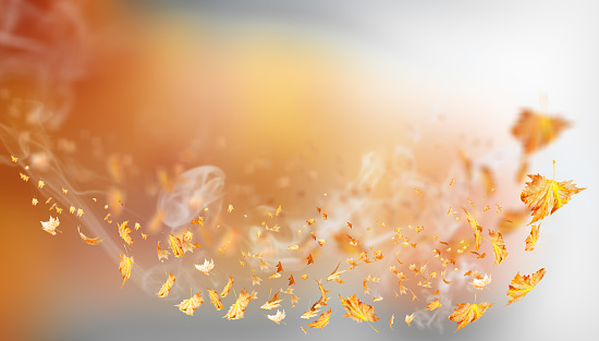 leaves autumn air wind isolated dry for background flying falling fall flight red  yellow - 3d rendering