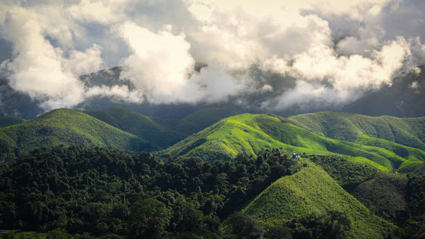 istock Beautiful green Mountain View background. Scenic morning mountain forest view. 1426138548