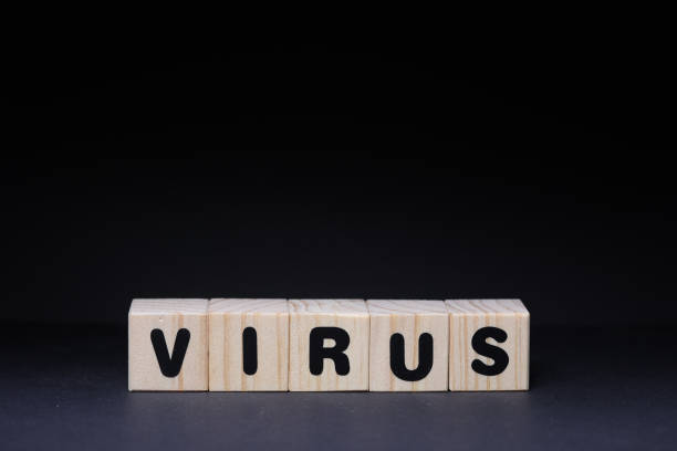 istock Virus word on wooden cubes on black background 1426142418