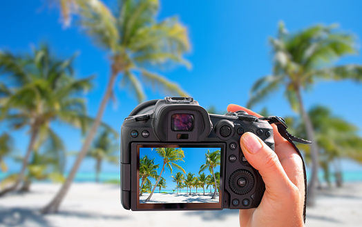 Photographer holding digital camera in hand and taking landscape picture of tropical beach with palm trees