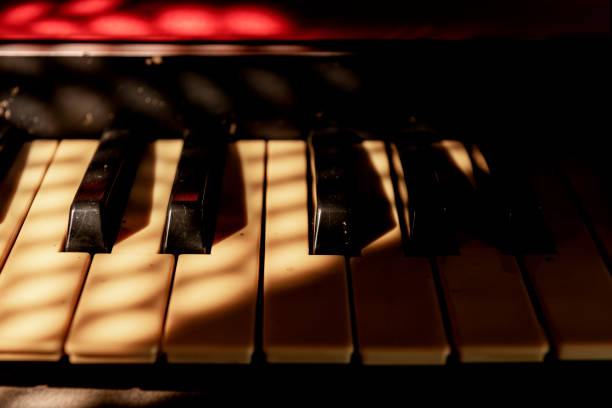 istock Closeup view of an electronic piano keyboard 1426161601