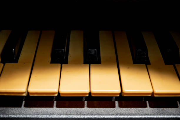 istock Closeup view of an electronic piano keyboard 1426161695