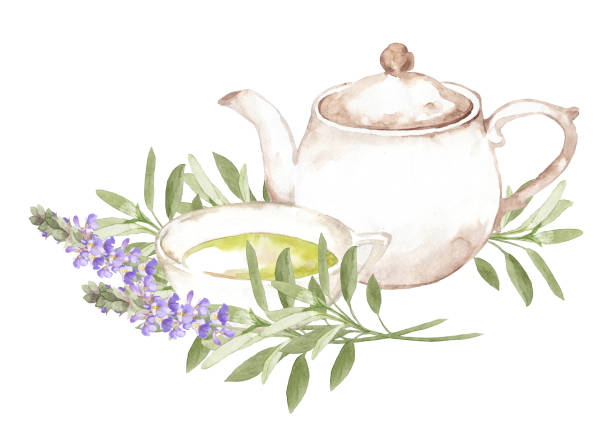 illustrations, cliparts, dessins animés et icônes de dessin à la main illustration florale à l’aquarelle isolée avec des herbes de sauge et un service à thé. - tea cup afternoon tea tea teapot