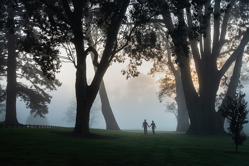 Two people walking in the fog among big trees, Hamilton lake (also known as Lake Rotoroa), Hamilton, New Zealand.