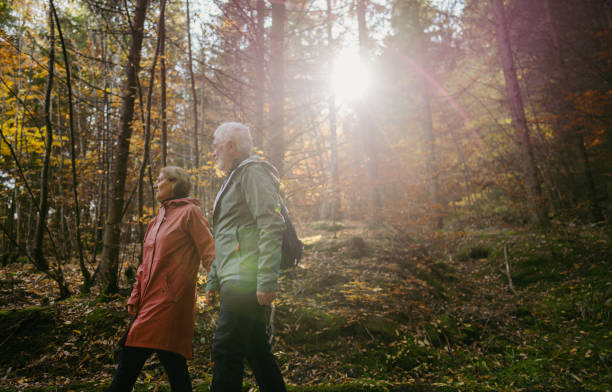 istock Senior couple is walking through the forest 1426180752