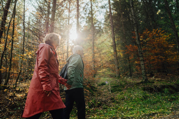 istock Senior couple is walking through the forest 1426180792