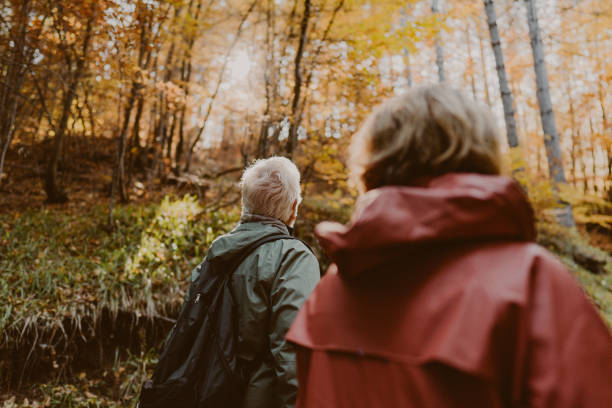istock Exploring the forest on a beautiful autumn day 1426180811