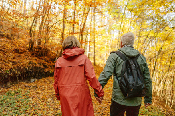istock Exploring the forest on a beautiful autumn day 1426180852