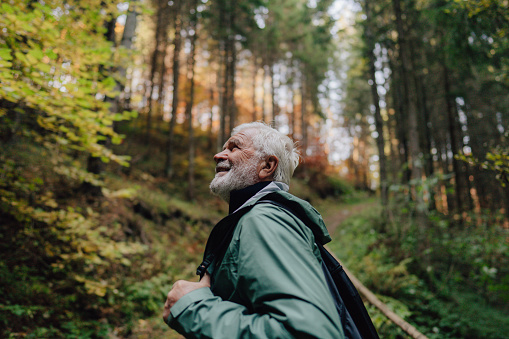 Magical panoramic scenery in the woods, with rays of sunlight illuminating the autumn fog and the silhouette of a man hiking on the trail